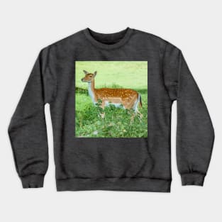 Fallow Deer on the Alert Crewneck Sweatshirt